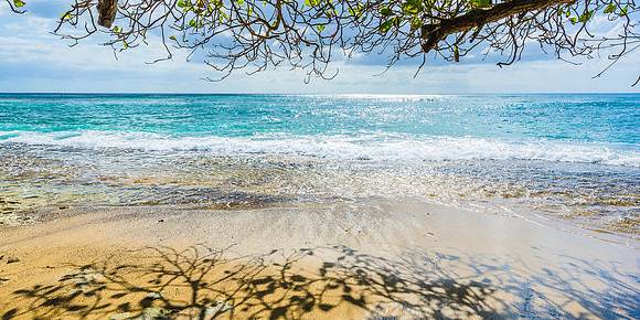 Coral Beach