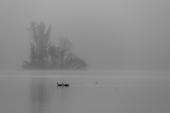 Misty Morning