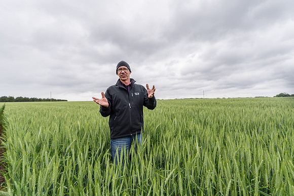 Farmer in Field